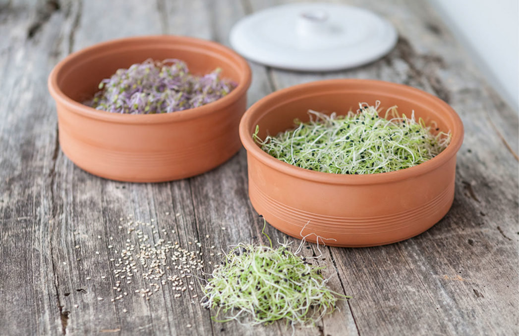 graupera-inspiration-8-image